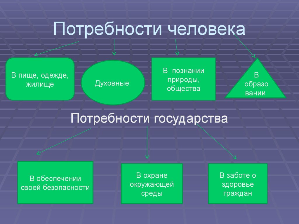 Потребности человека обществознание схема