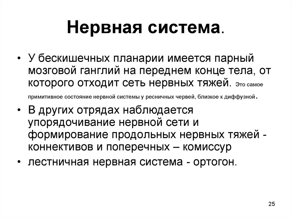 Наиболее примитивный. Билатеральная нервная система. Парный мозговой ганглий. Примитивное состояние. Примитивное билатеральное.