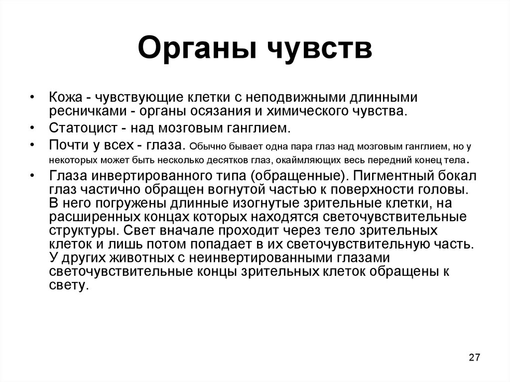 Клетки чувства. Органы химического чувства. Понятие 1 и 2 чувствующие клетки. Билатеральное представительство поверхности тела. Света чувств клетки.