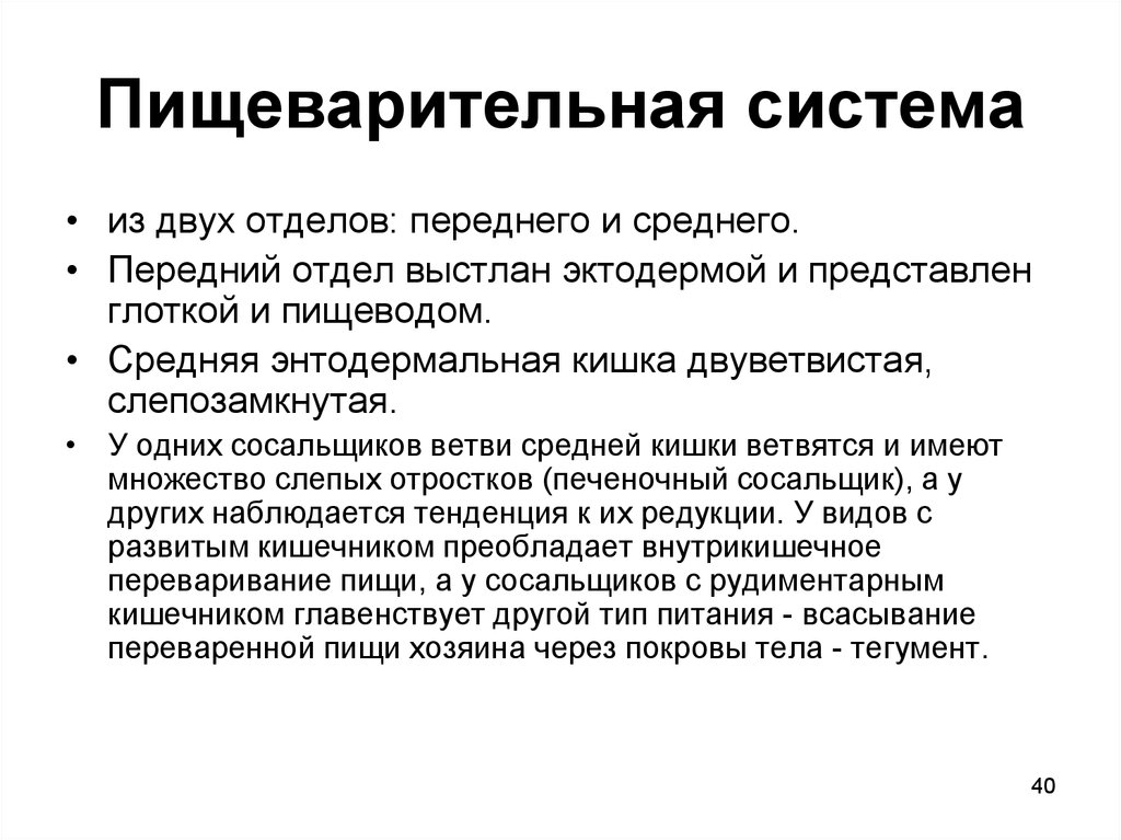 Билатерально синхронные волны. Слепозамкнутая пищеварительная система. Типы пищеварительных систем слепозамкнутая и сквозная. Слепозамкнутая пищеварительная система имеют. Билатеральное мышление.