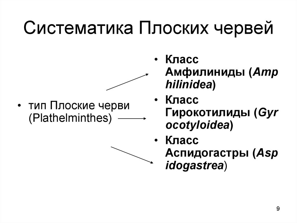 Систематический тип. Тип плоские черви 7 класс систематика. Систематика плоских червей с представителями. Систематика плоских червей 7 класс. Систематика плоских червей таблица.