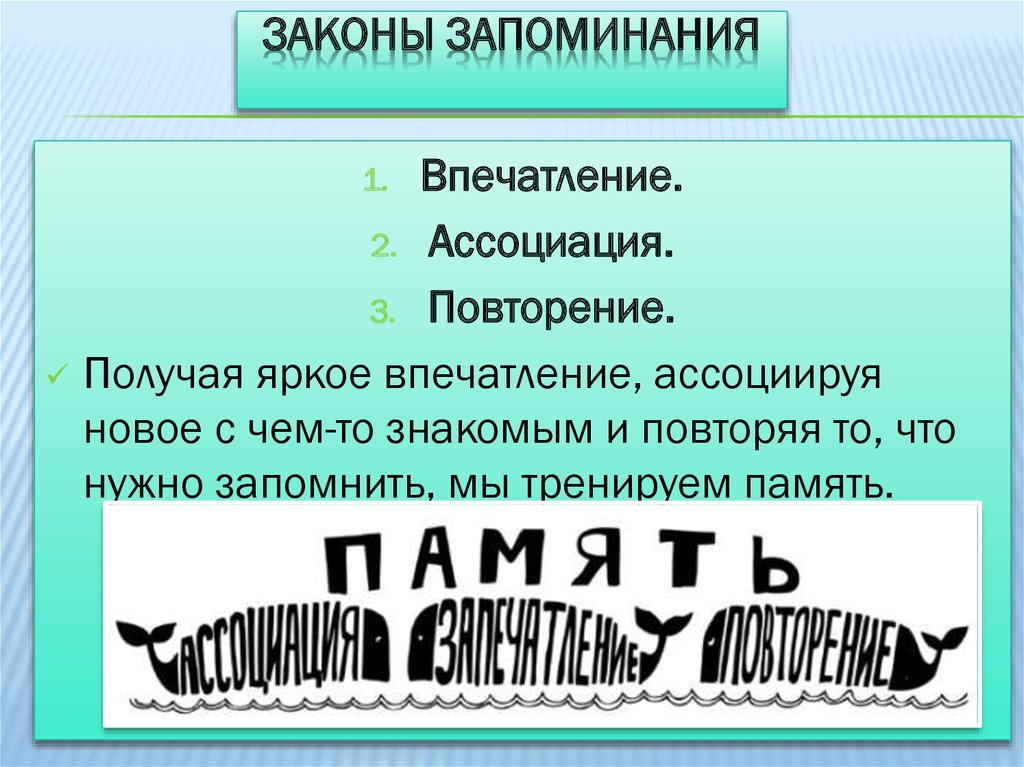 Запоминания нового материала. Законы запоминания. Методика запоминания. Эффективные методы запоминания. Правила запоминания.