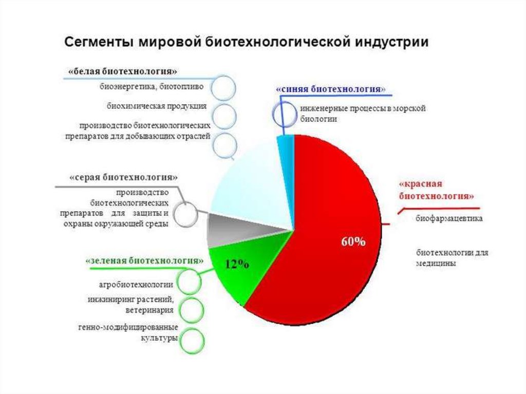 Проблемы биотехнологии в экологическом плане