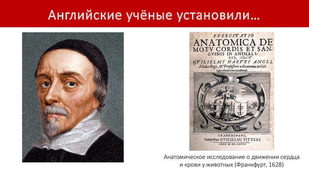 Ученый на английском. Английские ученые. Ученые Англии. Знаменитые английские ученые. Известные ученые Англии.