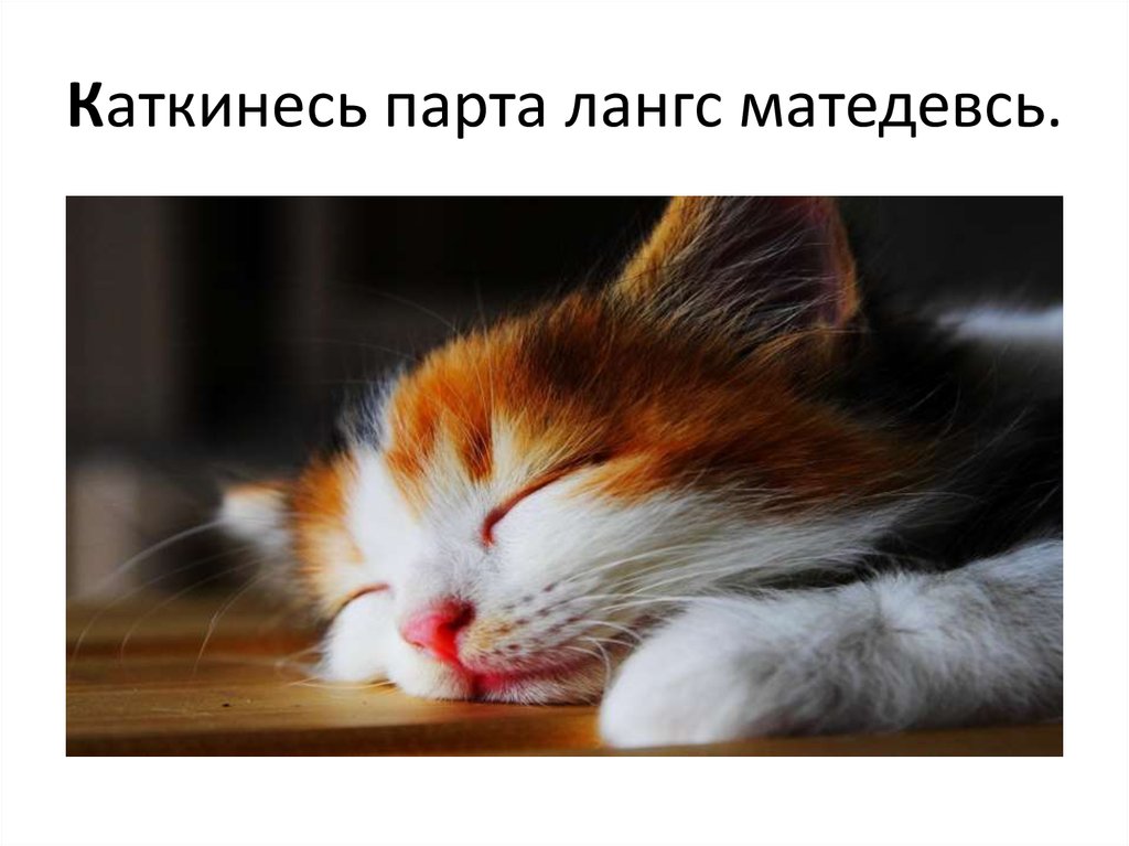 Каткинесь парта лангс матедевсь.