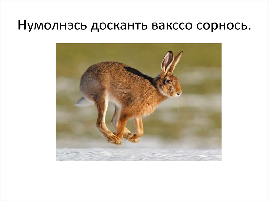 Нумолнэсь досканть вакссо сорнось.