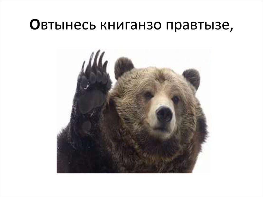 Овтынесь книганзо правтызе,