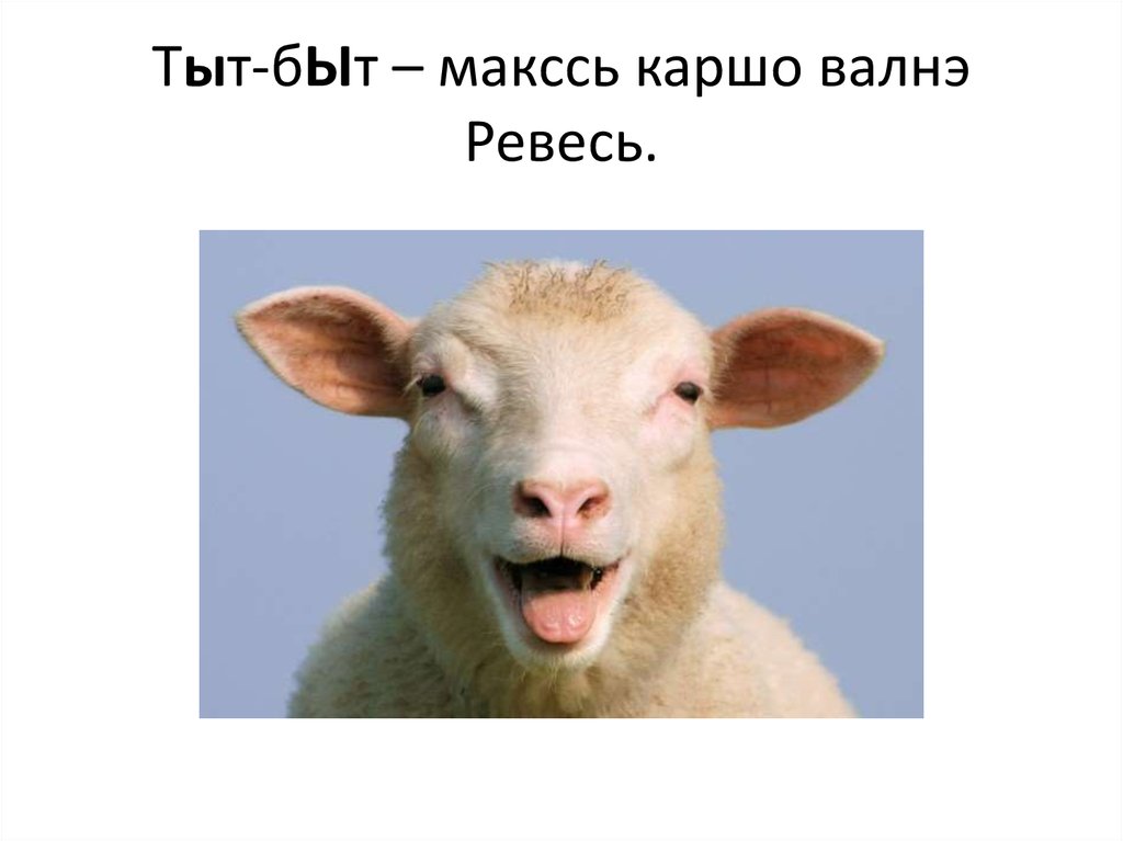 Тыт-бЫт – макссь каршо валнэ Ревесь.