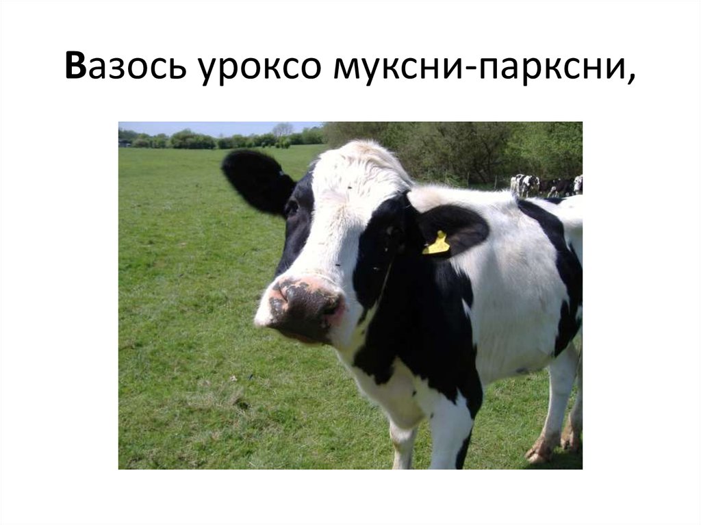 Вазось уроксо муксни-парксни,