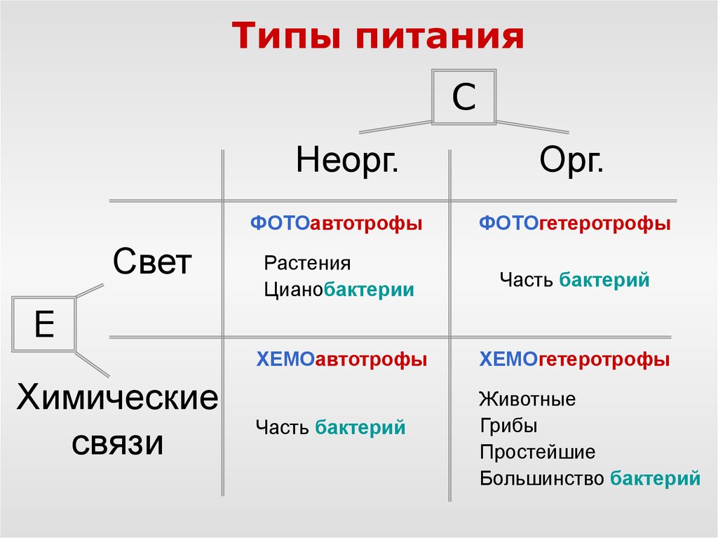 Фотоавтотрофы. Фотогетеротрофы. Фотогетеротрофы бактерии. Хемогетеротрофы фотогетеротрофы фотоавтотрофы хемоавтотрофы. Питание бактерий фотогетеротрофы.