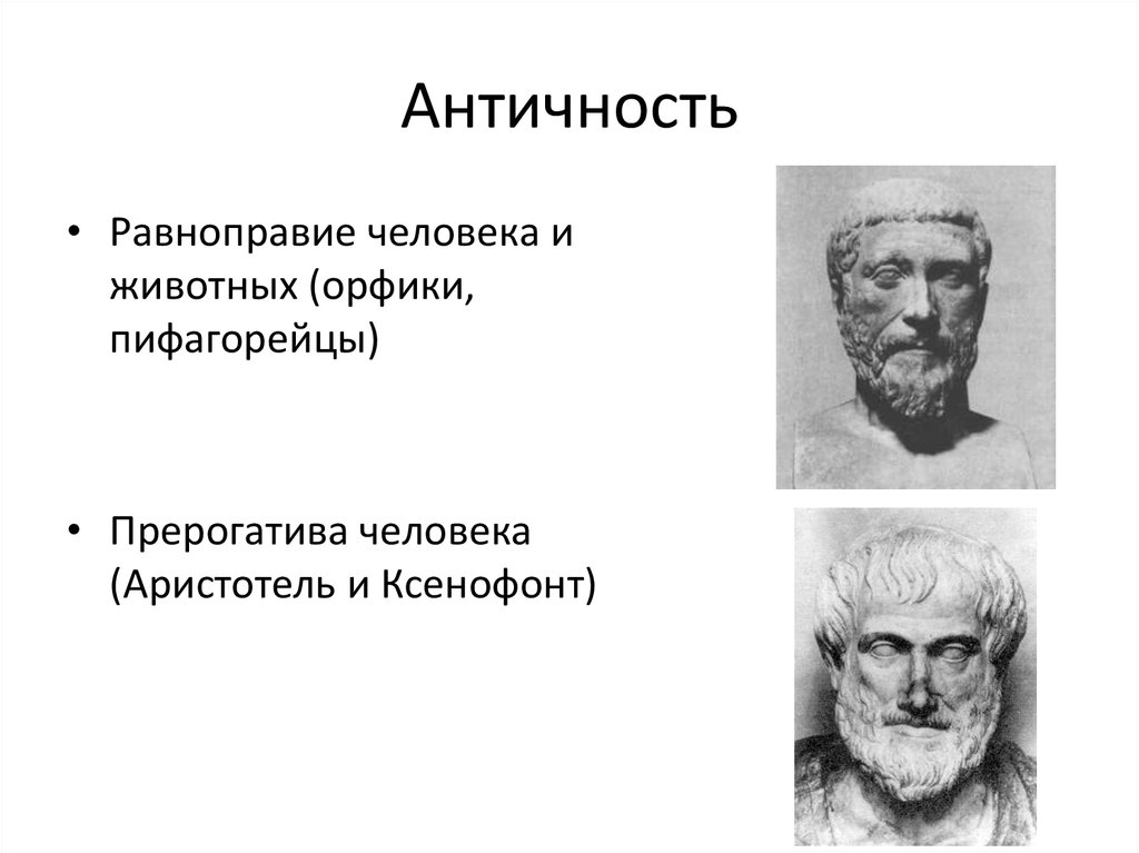 Ксенофонт философ. Сократ Платон и Ксенофонт. Ксенофонт достижения. Ксенофонт и Аристотель.