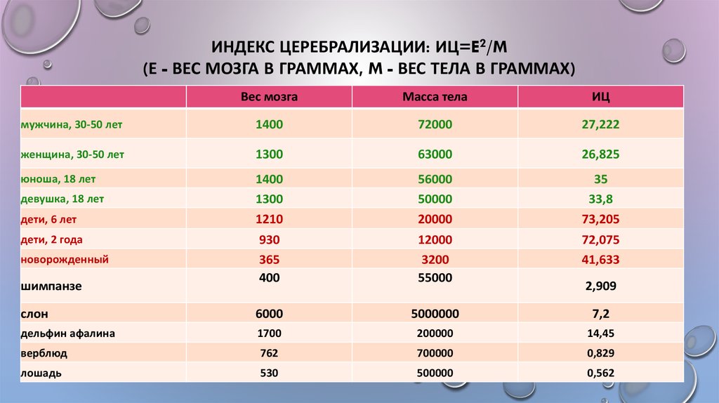 Сколько весит карта мира