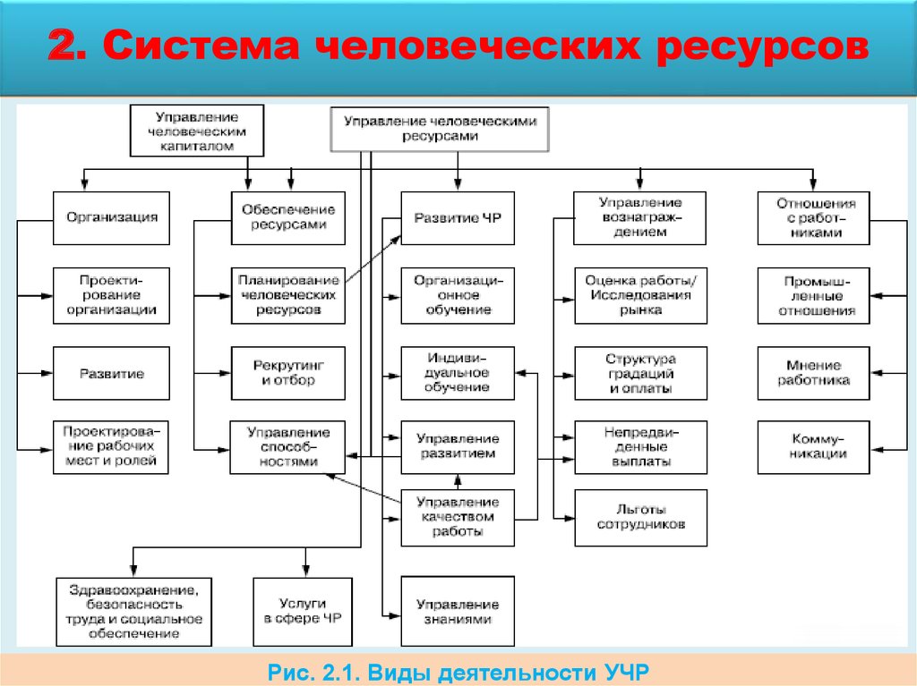 План человеческих ресурсов