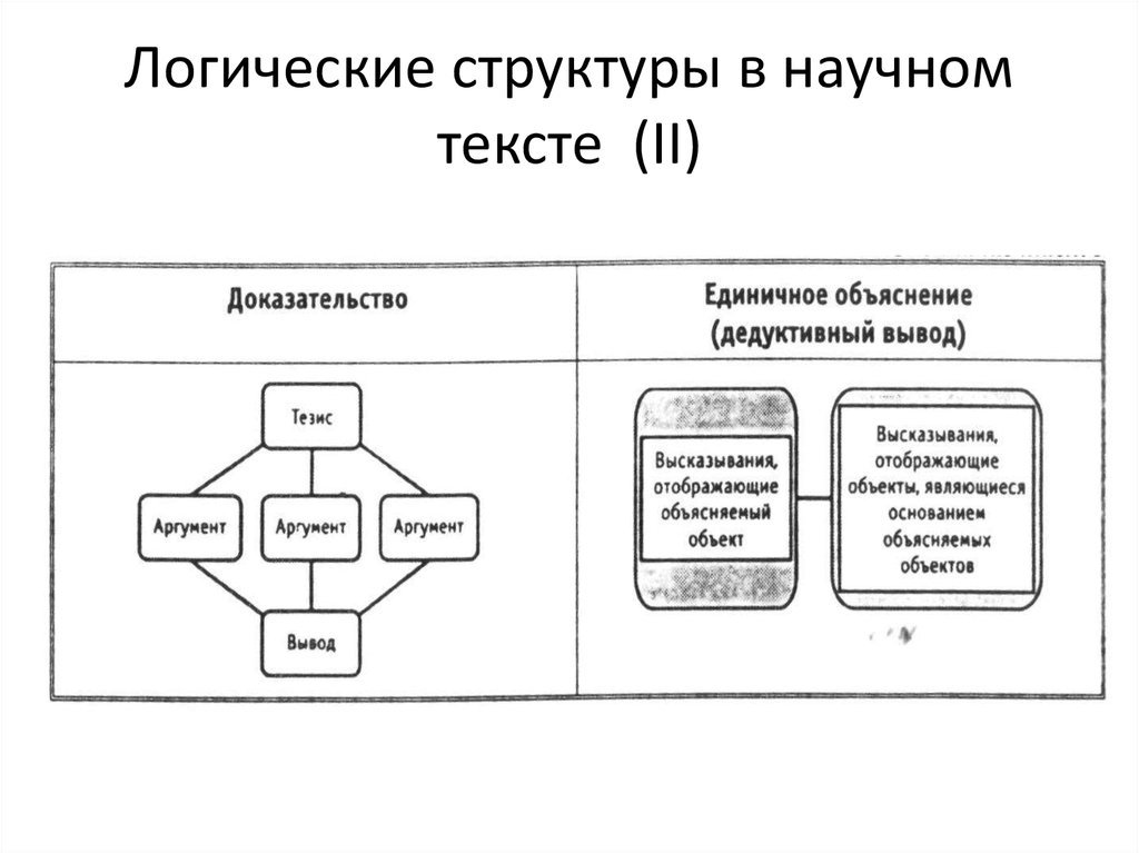 Структура текста образец