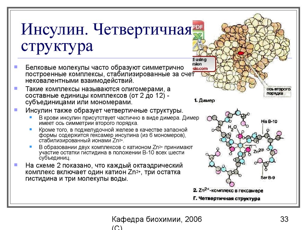 Биохимический белок. Структура инсулина биохимия. Строение инсулина формула. Структура ферментов биохимия четвертичная. Инсулин формула структура.