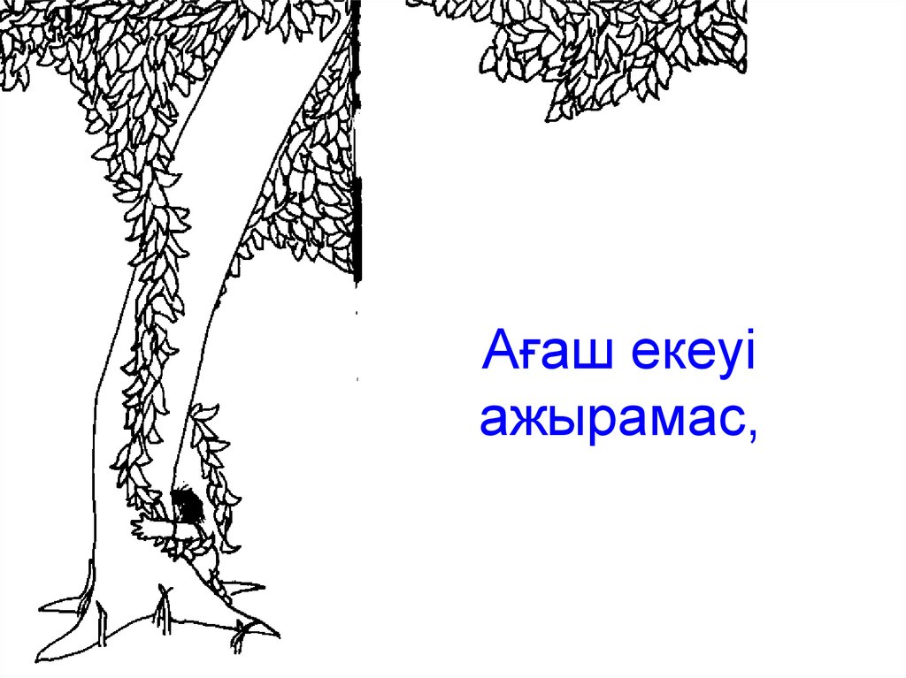 Ертеде бір алма ағашы болыпты - презентация онлайн