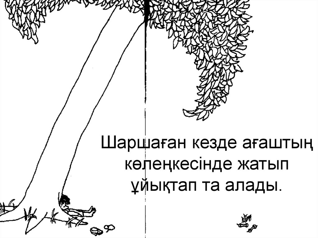 Шаршаған кезде ағаштың көлеңкесінде жатып ұйықтап та алады.