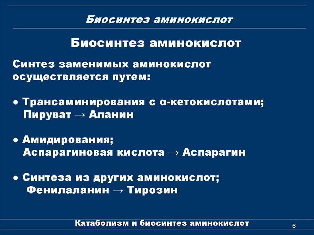 Биосинтез аминокислот в организме проект