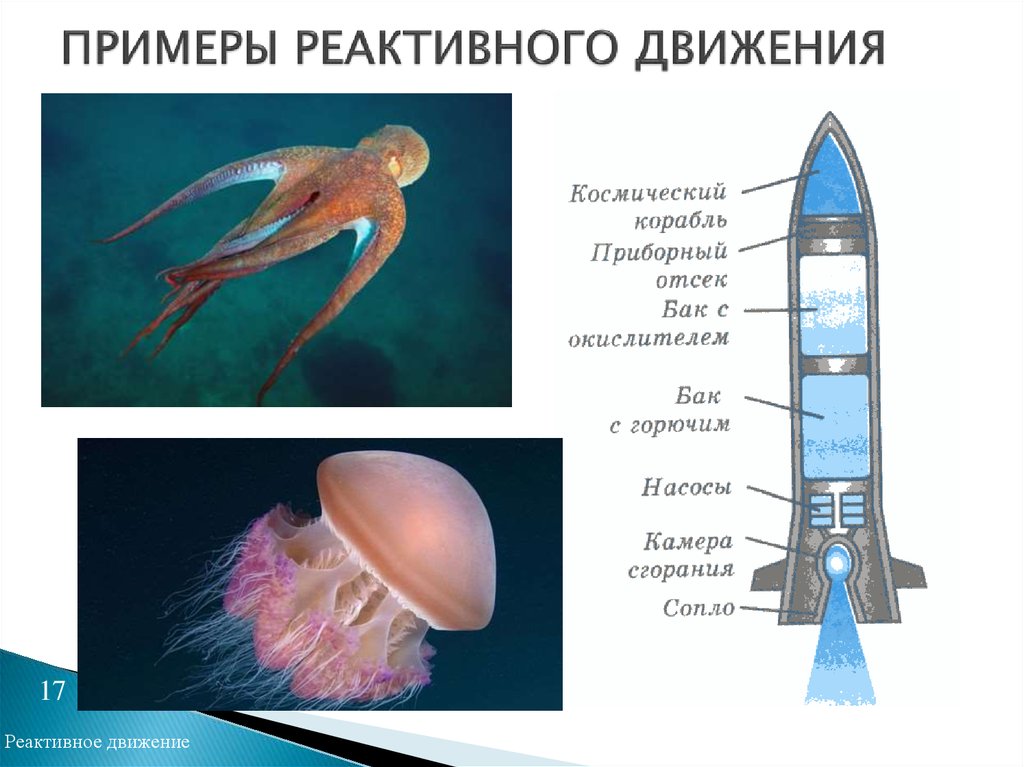 Проект по физике реактивное движение