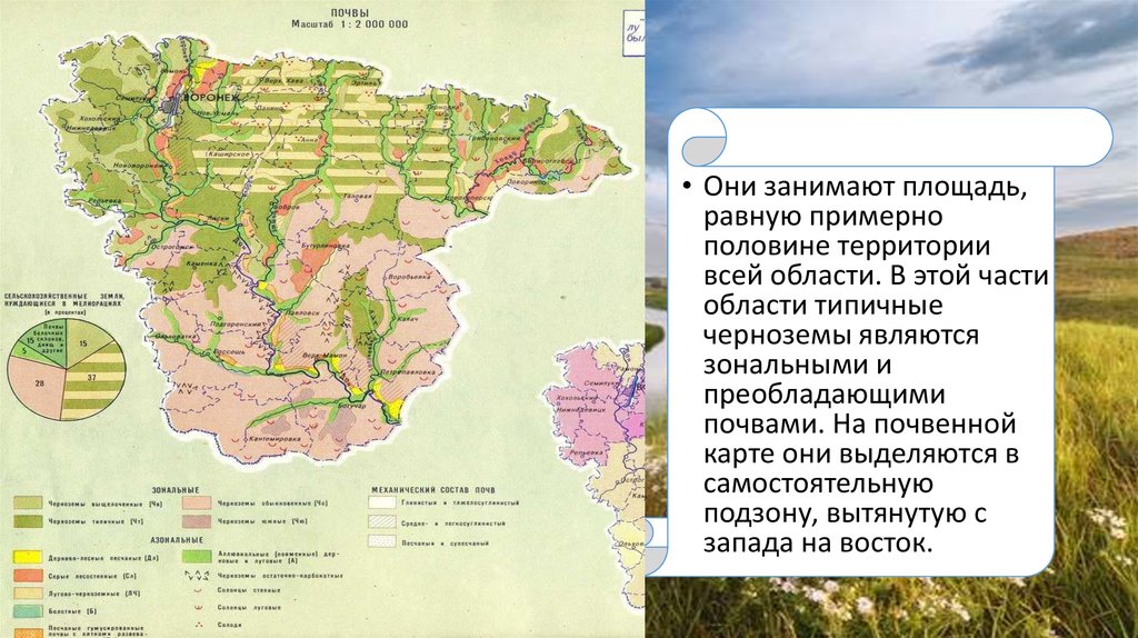 Ярославская область карта почв