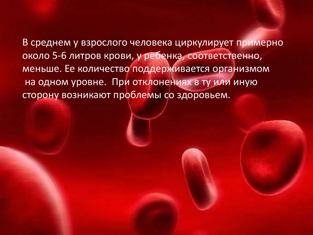 Сколько литров крови у мужчин