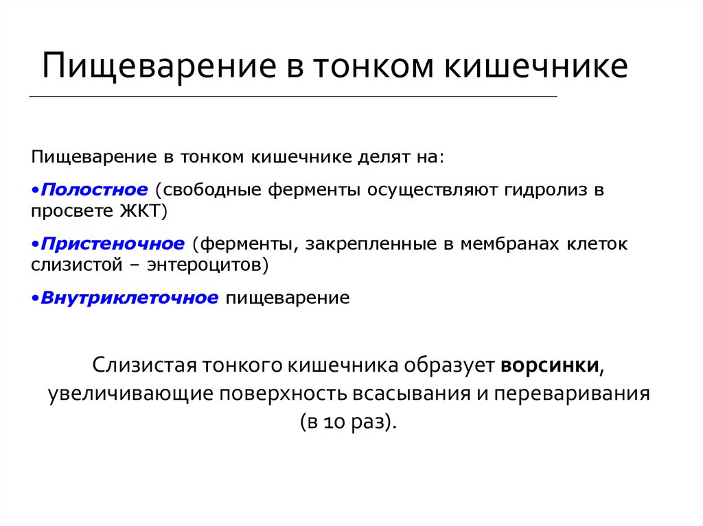 Пищеварение в кишечнике 8 класс презентация