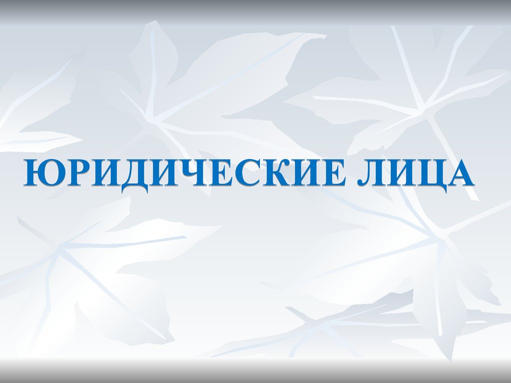 Лиц презентация. Заказы юр лиц для презентации.