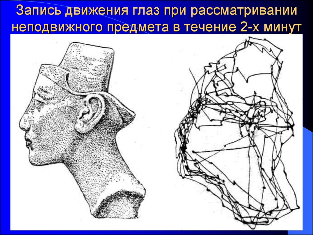 Запись движения. Движение глаза при рассматривании. Движение глаз при рассматривании изображения. Саккадические движения глаз. Схема движения глаз по изображению.