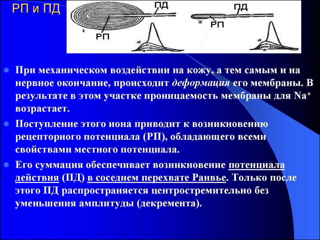 Механическим воздействиям а также