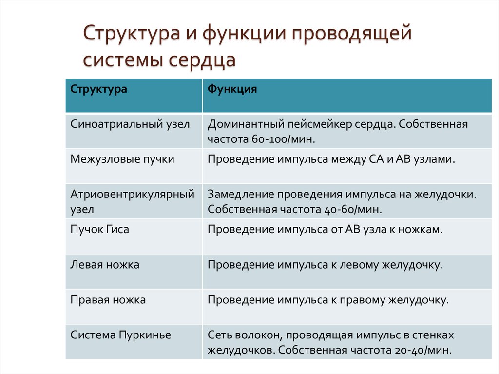 Функция проводи меня домой