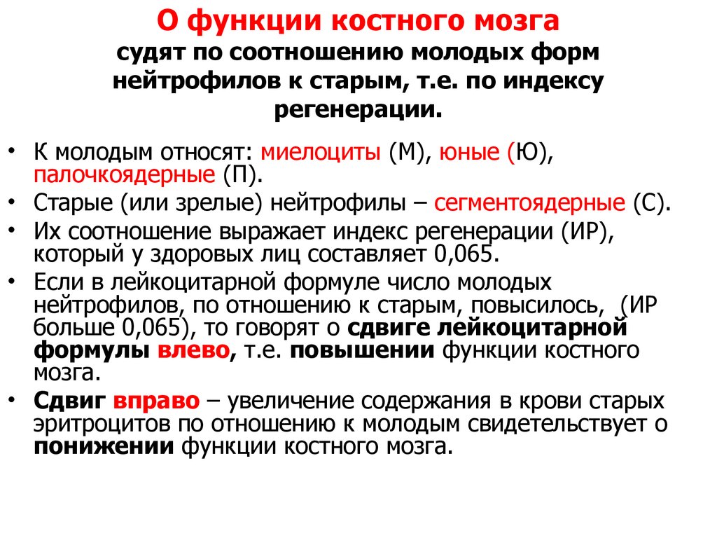 Что означает метаболическая активность. Желтый костный мозг функции кратко. Основные функции красного костного мозга.