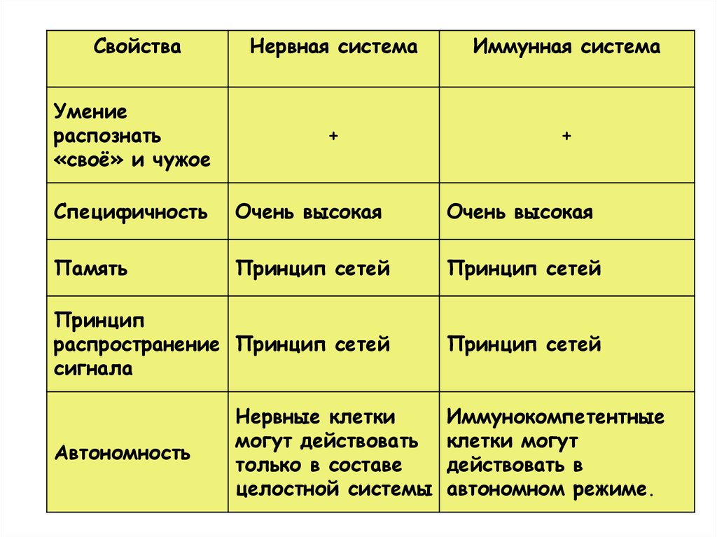 Характеристика нервной системы