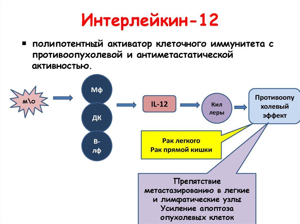 Активаторы активности. Интерлейкин 1 и 2. Интерлейкин 6 эффекты. Интерлейкин 6 иммунная реакция. Il 12 иммунология.