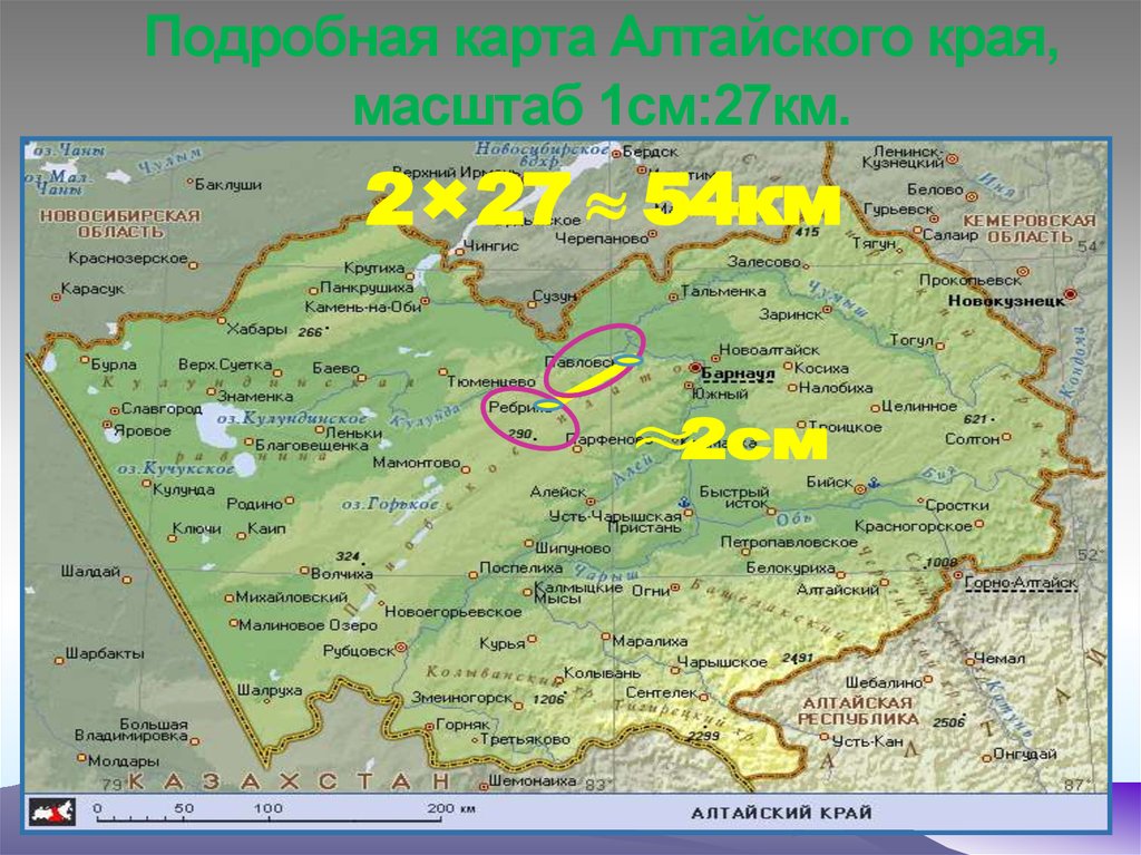 Физическая карта Алтайского края. Карта Алтайского края граничащая с Казахстаном.