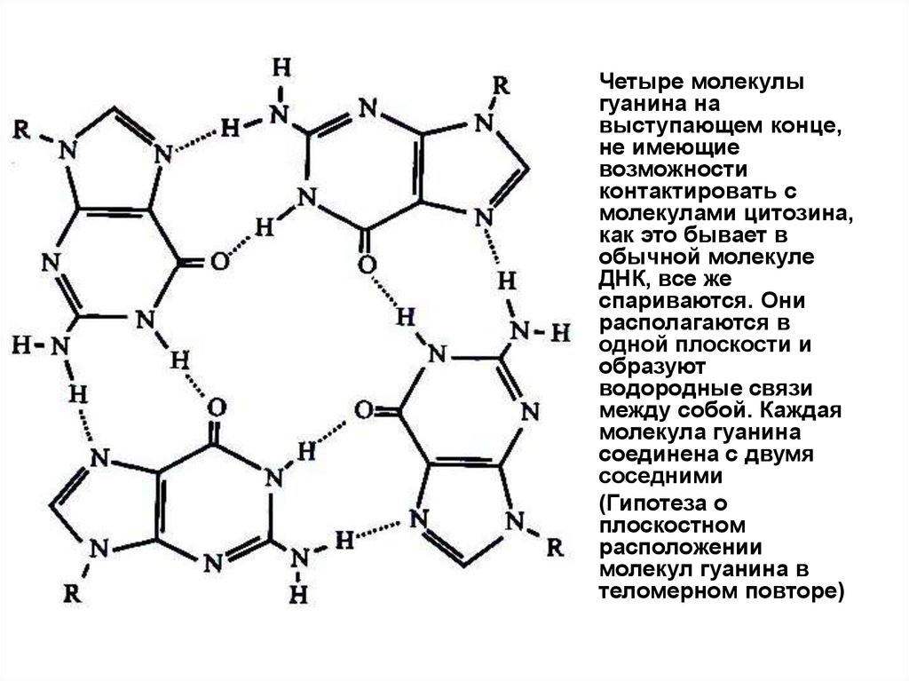 Молекула 4 и 5