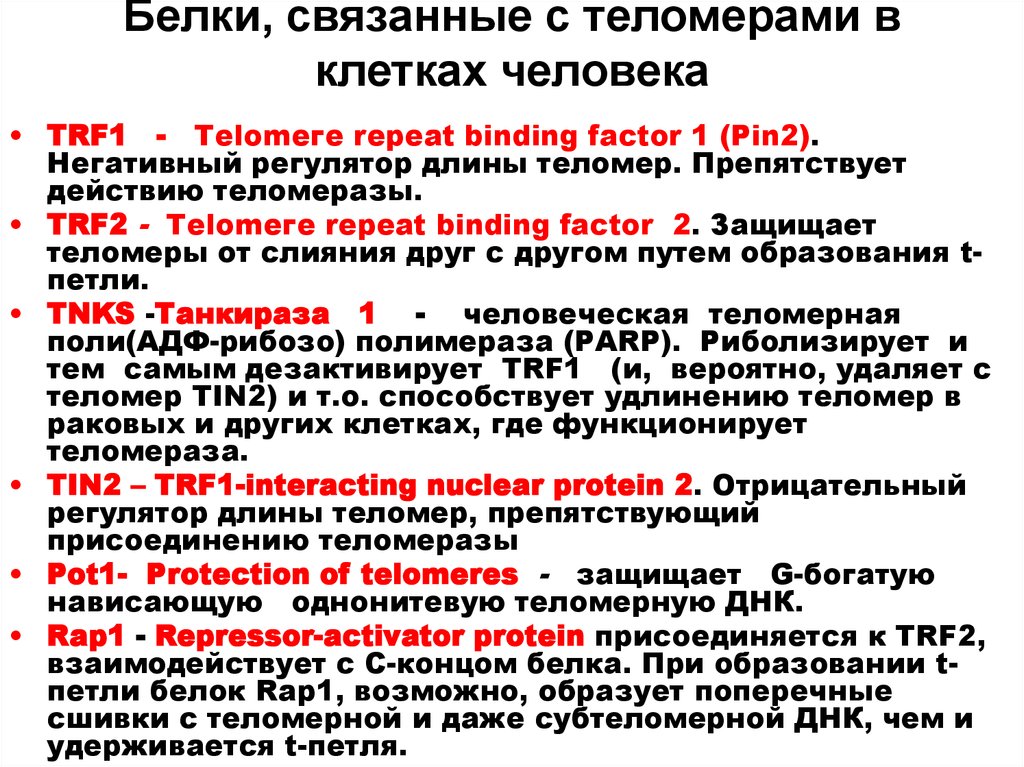 Связывающие белки