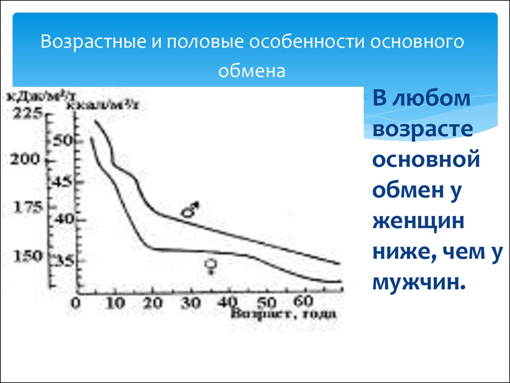 Половое характеристика. Возрастные изменения основного обмена. Возрастные особенности половых органов. Возрастные особенности половой системы таблица. Возрастные особенности полового развития.