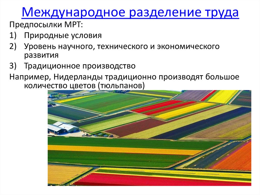 Международное разделение труда