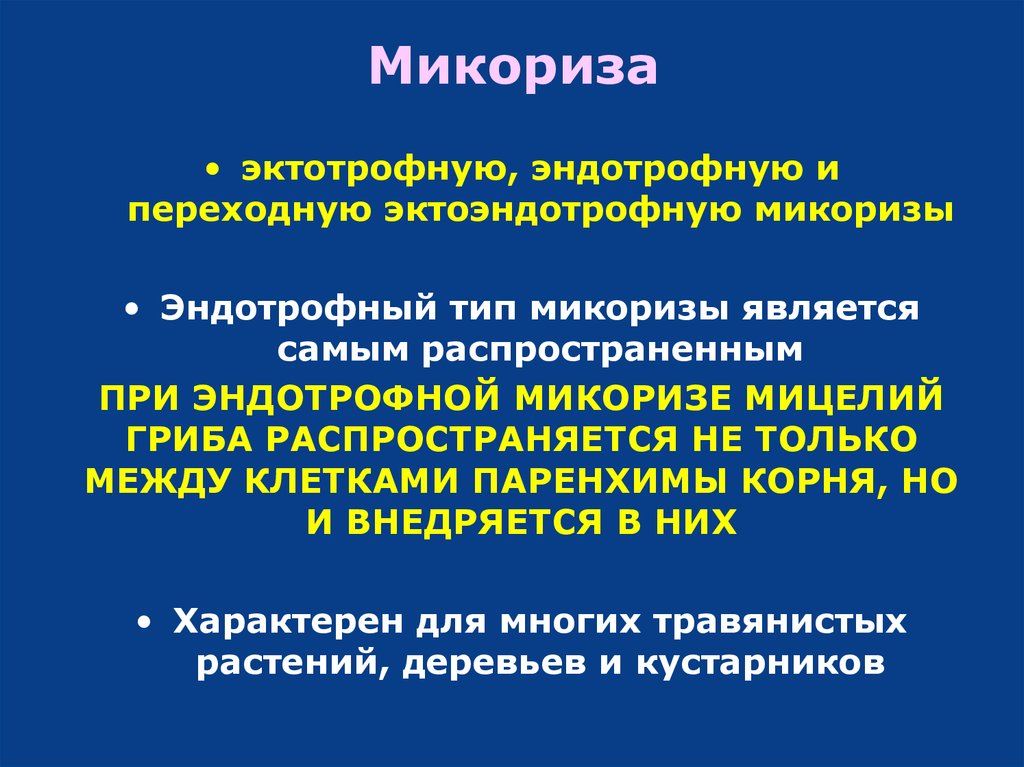 Ауксотрофы. Эктотрофная микориза. ЭКЗОТРОФЫ это микробиология. АУКСОТРОФЫ примеры. ПРОТОТРОФЫ это микробиология.