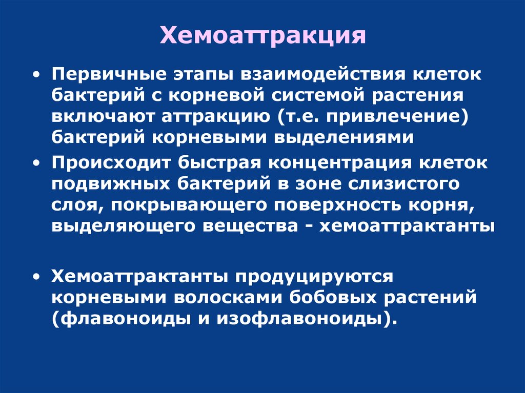 Концентрация клеток. Хемоаттракция это. Аттракция бактерий. Аттракция микробиология. Хемоаттракция это в патологии.