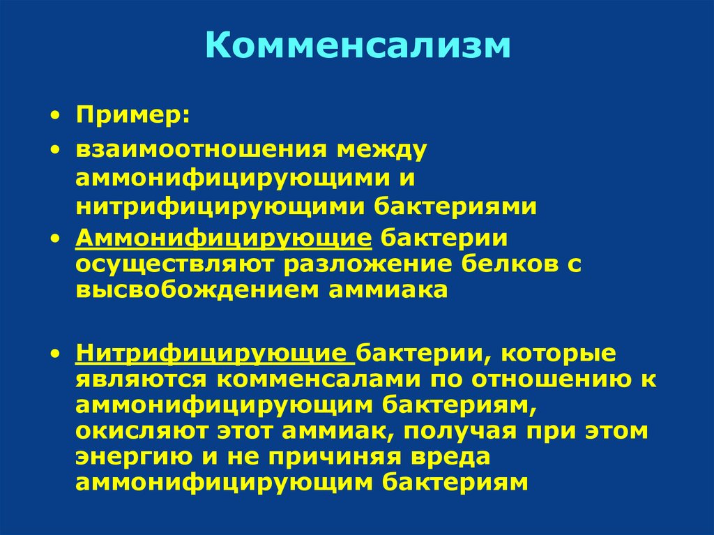 Отношения комменсализма. Комменсализм механизм взаимодействия. Комменсализм примеры. Комменсализм микроорганизмов примеры. Взаимоотношения комменсализм примеры.