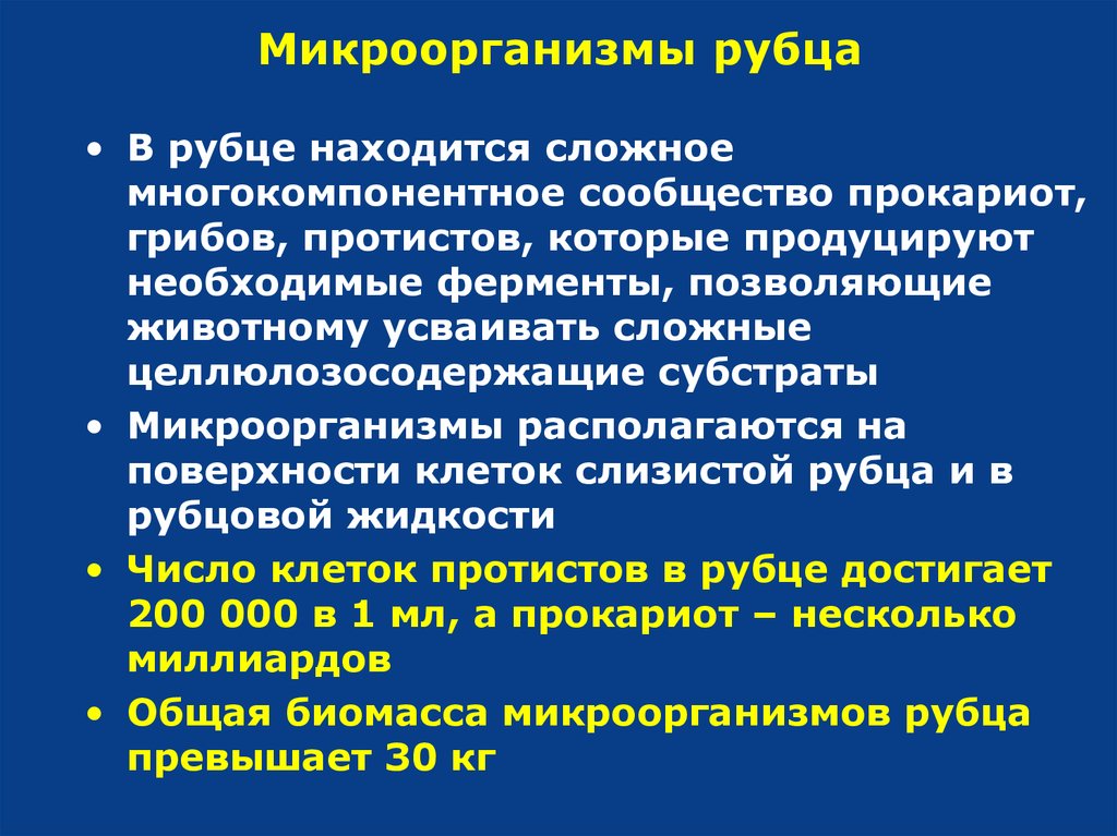 Слизистая рубца. Микрофлора рубца жвачных. Микроорганизмы рубца. Бактерии в рубце жвачных.