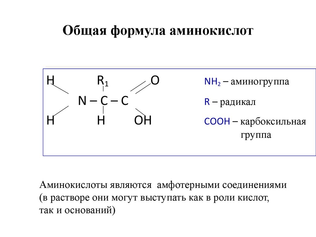 Запишите общий вид. Формула аминокислот общая формула. Общая формула α-аминокислоты. Амины общая формула химия. Общая структурная формула аминокислоты.