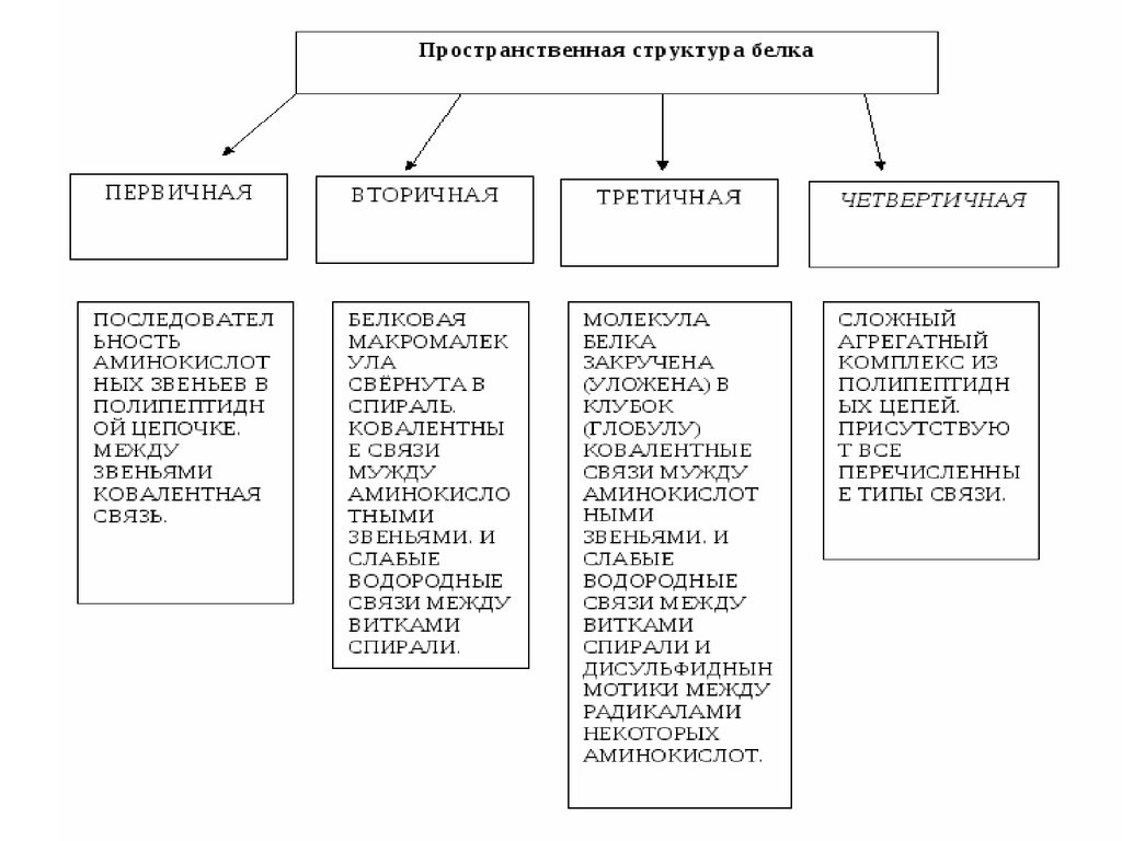 Методы исследования структуры. Таблица структура белка строение. Структура белковой молекулы таблица. Структура белка характеристика таблица. Первичная структура белка, методы исследования первичной структуры.