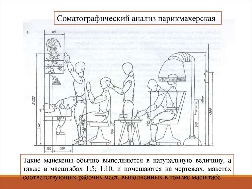 Сертификация парикмахерских услуг в Казани
