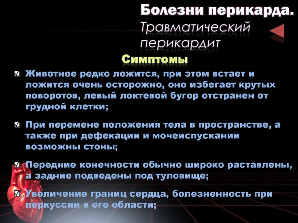 Перикардит симптомы у взрослых. Травматический перикардит. Травматический перикардит симптомы. Симптомы перикардита у животных.