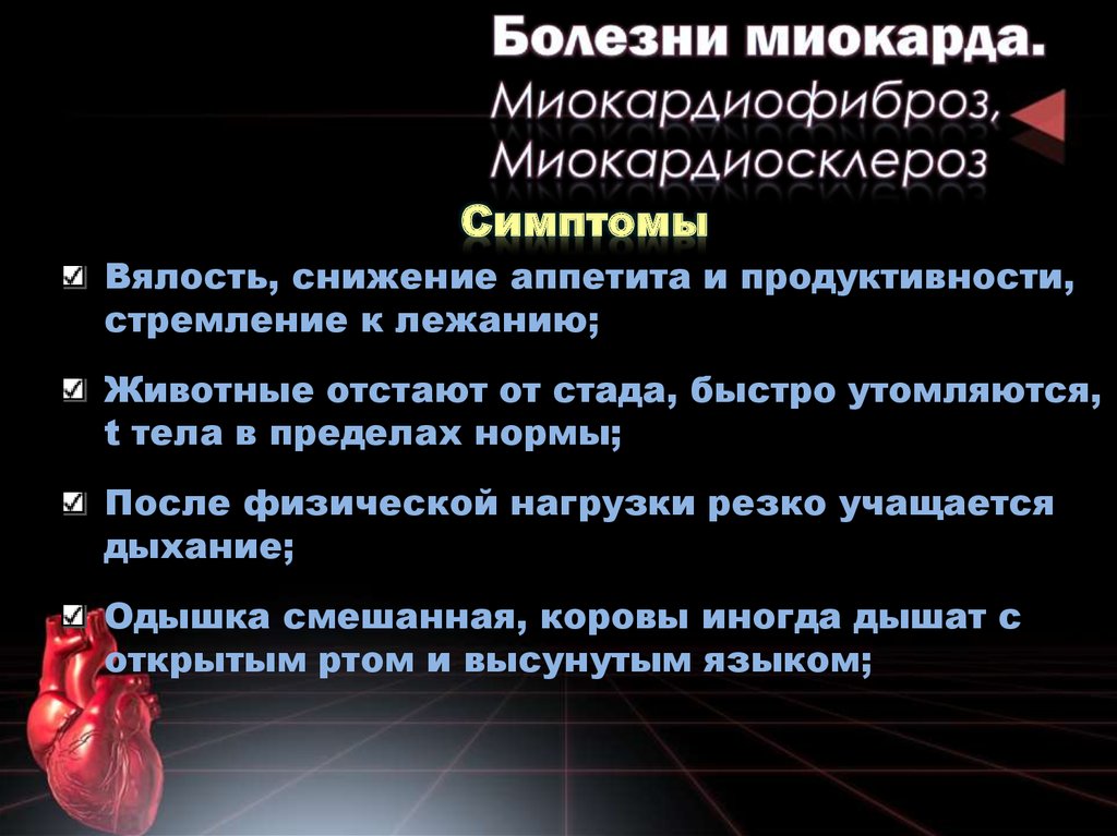 Заболевания миокарда. Заболевания миокарда классификация. Этиология поражения миокарда. Классификация поражений миокарда.