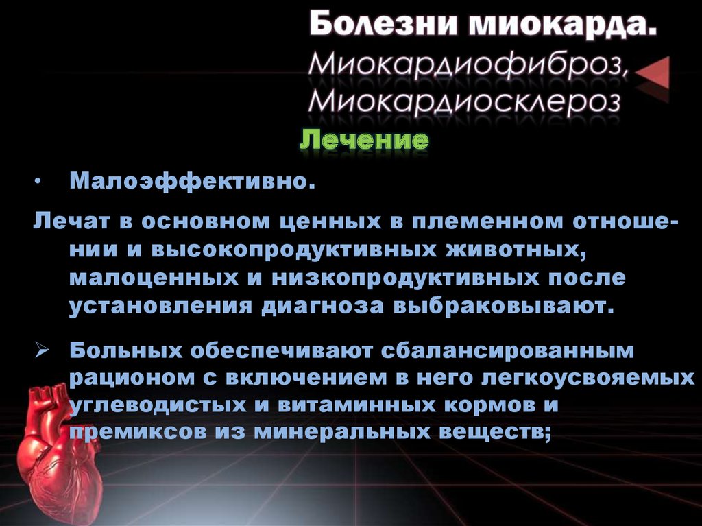 Заболевания миокарда