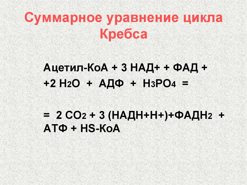 Цикл ацетил коа. Суммарное уравнение цикла Кребса. Суммарное уравнение реакций цикла Кребса. Цикл Кребса Суммарная формула. Суммарное уравнение цикла трикарбоновых кислот.