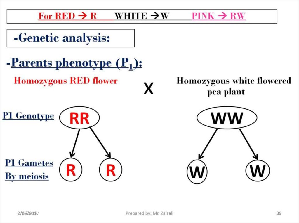 For RED  R WHITE W PINK  RW